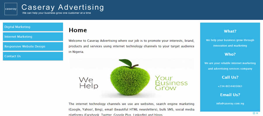 Caseray Solutions Limited website screenshot